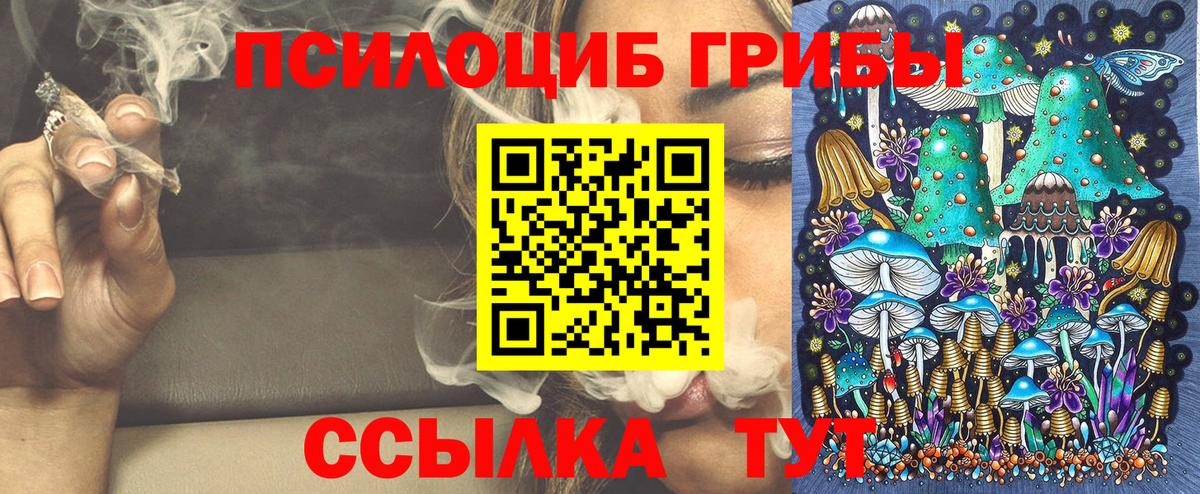 Киселёвск  Псилоцибиновые грибы Magic Shrooms  где продают   Вход с VPN 